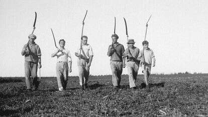 החלוצים. | קלוגר זולטן, לע''מ