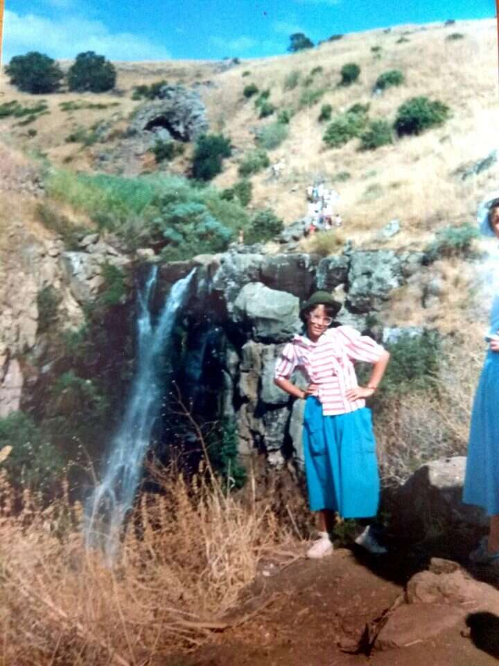 תרצה פורת ז"ל. | באדיבות המשפחה