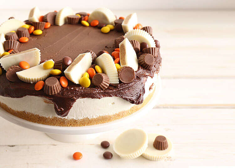 עוגת גבינה קרה עם פאדג' חמאת בוטנים. | אפרת ליכטנשטט