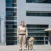 הילה מעודה. | אבישג שאר-ישוב