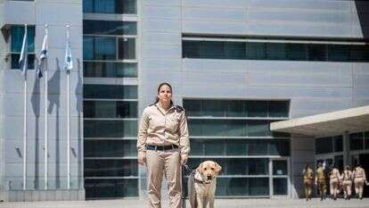 הילה מעודה. | אבישג שאר-ישוב