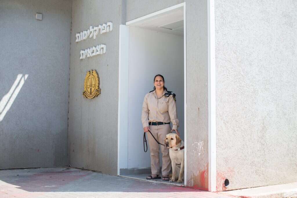 הילה מעודה. | אבישג שאר-ישוב