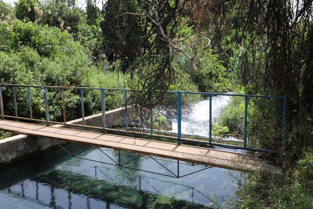 נקודת השפיעה בנחל דן. | יעל (פרוינד) אברהם