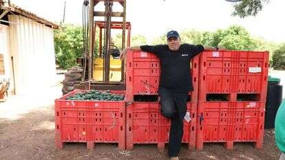 עפר (פושקו) מושקוביץ. | יעל (פרוינד) אברהם עפר (פושקו) מושקוביץ. | יעל (פרוינד) אברהם