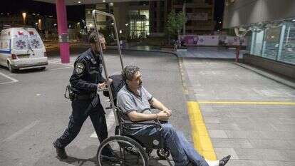 ג'עפר פרח המגובס. | מישל דוט קום ג'עפר פרח המגובס. | מישל דוט קום