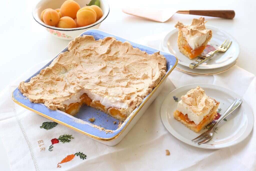 עוגת משמשים. | אפרת ליכטנשטט