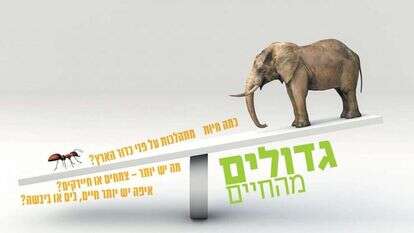 מי שוקל יותר? | שאטרסטוק