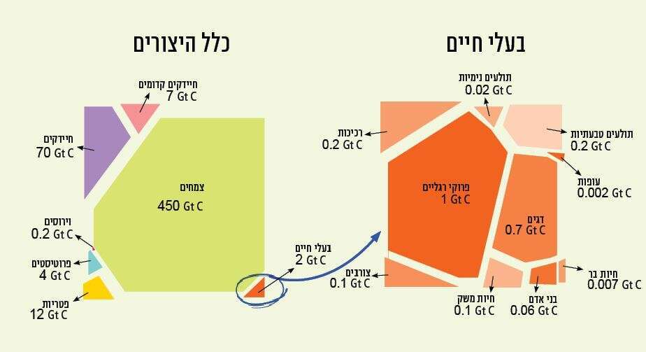 מיפוי משקל היצורים בעולם