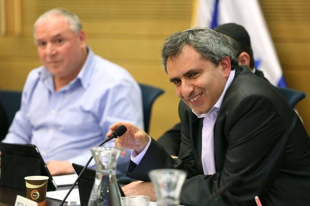 זאב אלקין. | דודי ועקנין