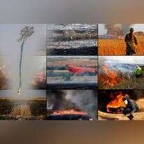 עפיפוני החבלה. | AFP ו-EPA