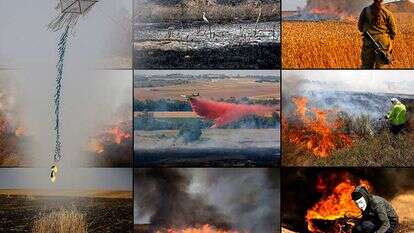 עפיפוני החבלה. | AFP ו-EPA