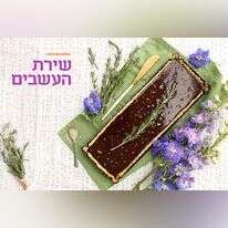 אפרת ליכטנשטט אפרת ליכטנשטט