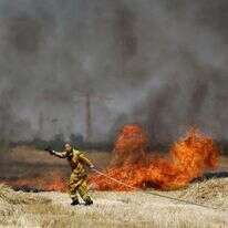 לוחם אש מכבה שריפה בשדה חיטה באזור עוטף עזה. | EPA