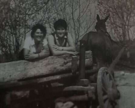 תמונות מהווי שבט איתנים. | מהאלבום הפרטי