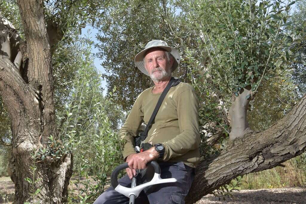 עופר אביטל במטע הזיתים שלו. | גיל אליהו, ג'יני