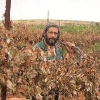 איתמר וייס. | מרים צחי