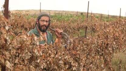 איתמר וייס. | מרים צחי