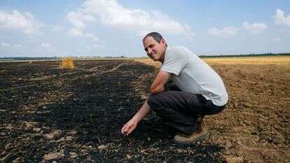 דובי גינזברג. | לירון מולדבן