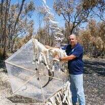 דני בן–דוד. | לירון מולדבן