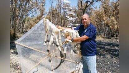 דני בן–דוד. | לירון מולדבן