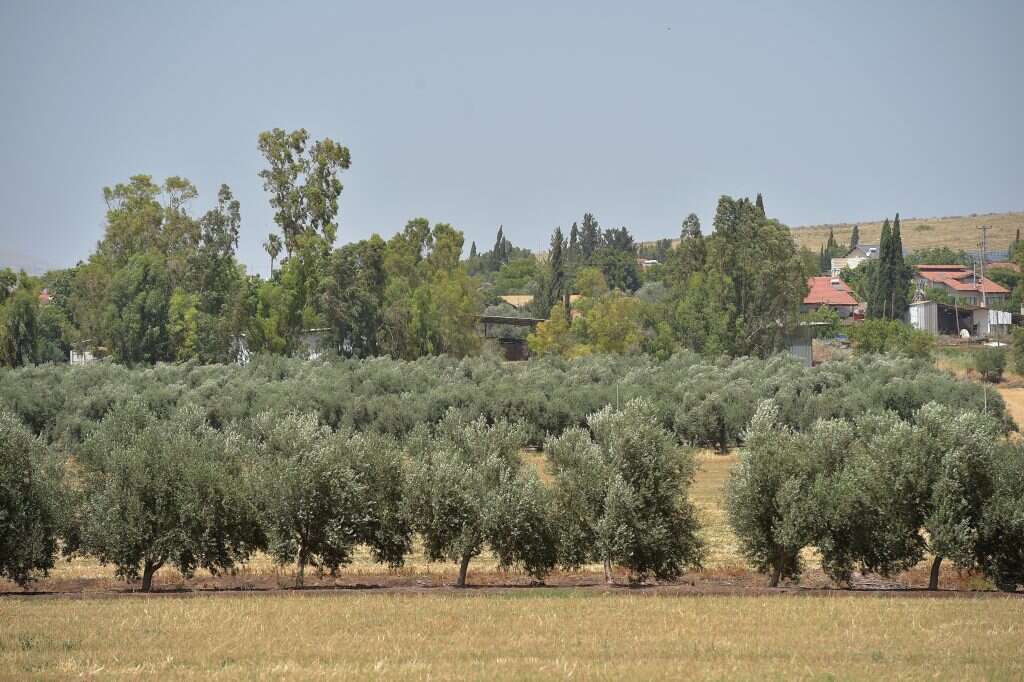 חקלאות בארבל. | גיל אליהו ג'יני