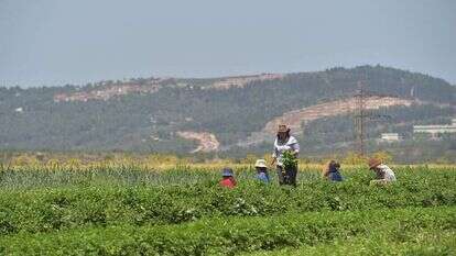חקלאים בקיבוץ לביא | גיל אליהו ג'יני