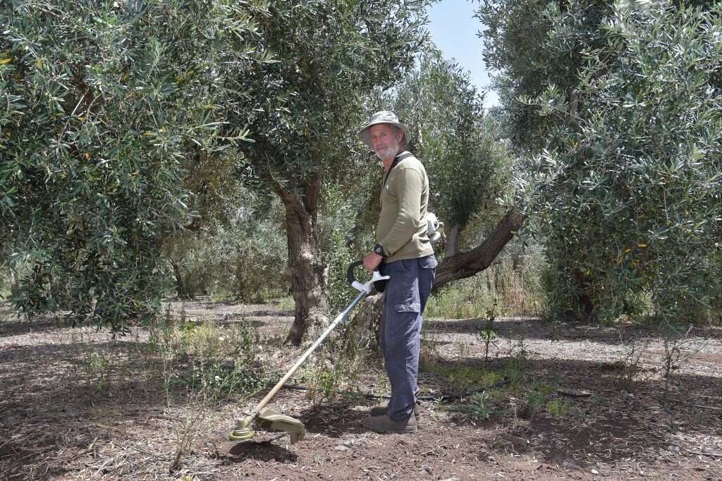 עופר אביטל. | גיל אליהו, ג'יני