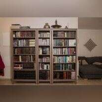 הספריה של אלחנן ניר. | יונתן זינדל, פלאש 90