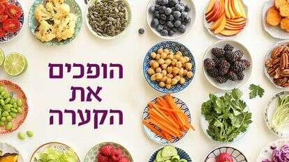 אפרת ליכטנשטט