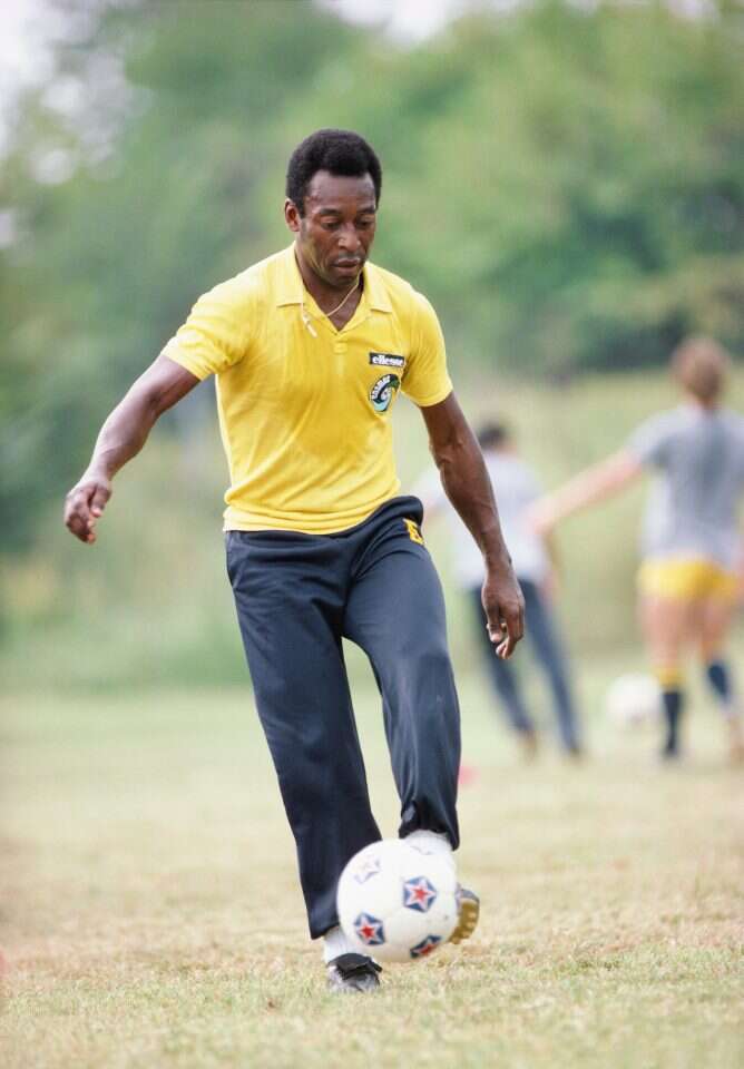 פלה. | גטי אימג'ס פלה. | גטי אימג'ס