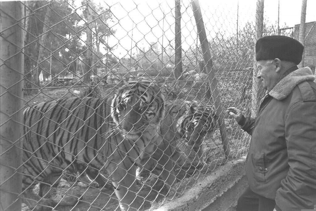 אהרון שולוב. | משה מילנר, לע"מ
