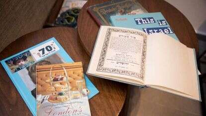 אבישג שאר-ישוב