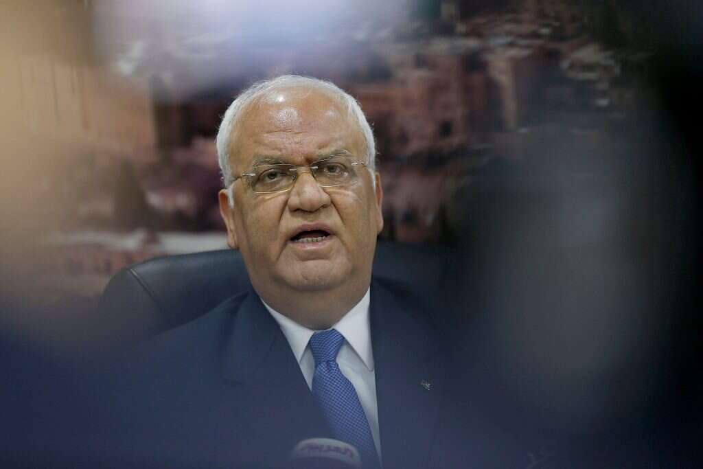 סאאיב עריקאת. | AFP סאאיב עריקאת. | AFP
