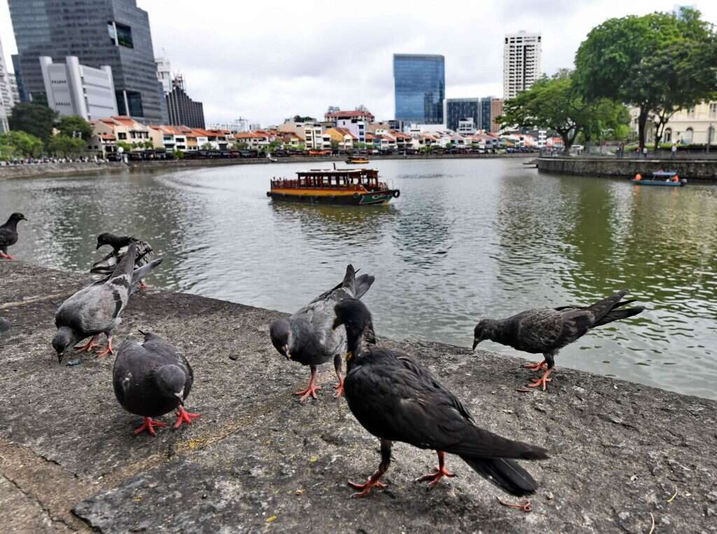 סינגפור. | AFP