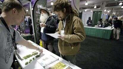 כנס הקנביס של ניו אינגלנד בבוסטון, בחודש מארס. | AP