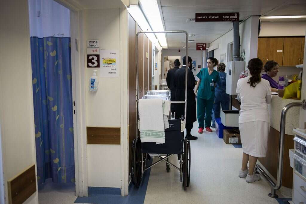 הדסה הר הצופים. | הדס פרוש, פלאש 90