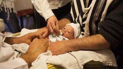 יונתן זינדל, פלאש 90