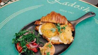 קפה קדוש. | אבישג שאר-ישוב קפה קדוש. | אבישג שאר-ישוב