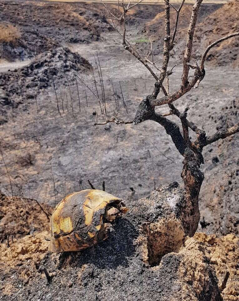 אדי ישראל, נוער עוטף עזה במסגרת סדנת פוטותרפיה