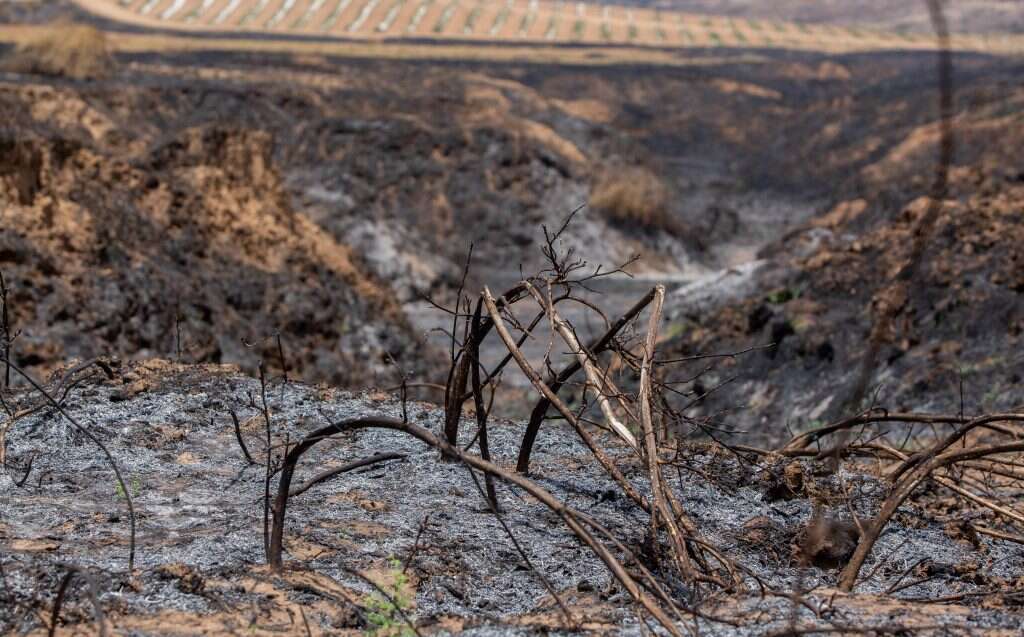 נזקי השרפות בדרום. | אדי ישראל, נוער עוטף עזה במסגרת סדנת פוטותרפיה