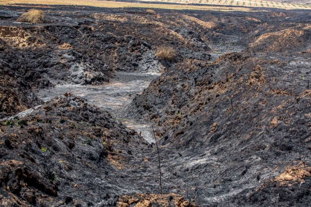 נזקי השרפות בדרום. | אדי ישראל, נוער עוטף עזה במסגרת סדנת פוטותרפיה