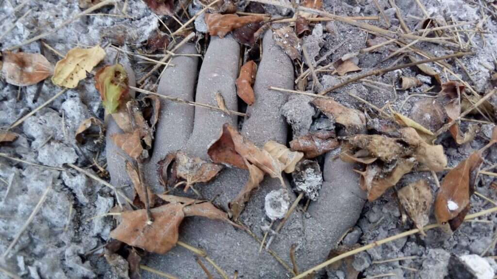 נזקי השרפות בדרום. | אדי ישראל, נוער עוטף עזה במסגרת סדנת פוטותרפיה