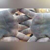 נזקי השרפות בדרום. | אדי ישראל, נוער עוטף עזה במסגרת סדנת פוטותרפיה