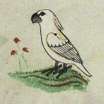 האיור של הקיסר. | באדיבות הוותיקן