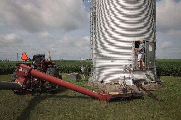 מגדל סויה אמריקני. | איי אף פי מגדל סויה אמריקני. | איי אף פי