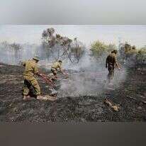 חורשה בוערת סמוך לקיבוץ כיסופים, השבוע. | איי אף פי