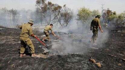 חורשה בוערת סמוך לקיבוץ כיסופים, השבוע. | איי אף פי