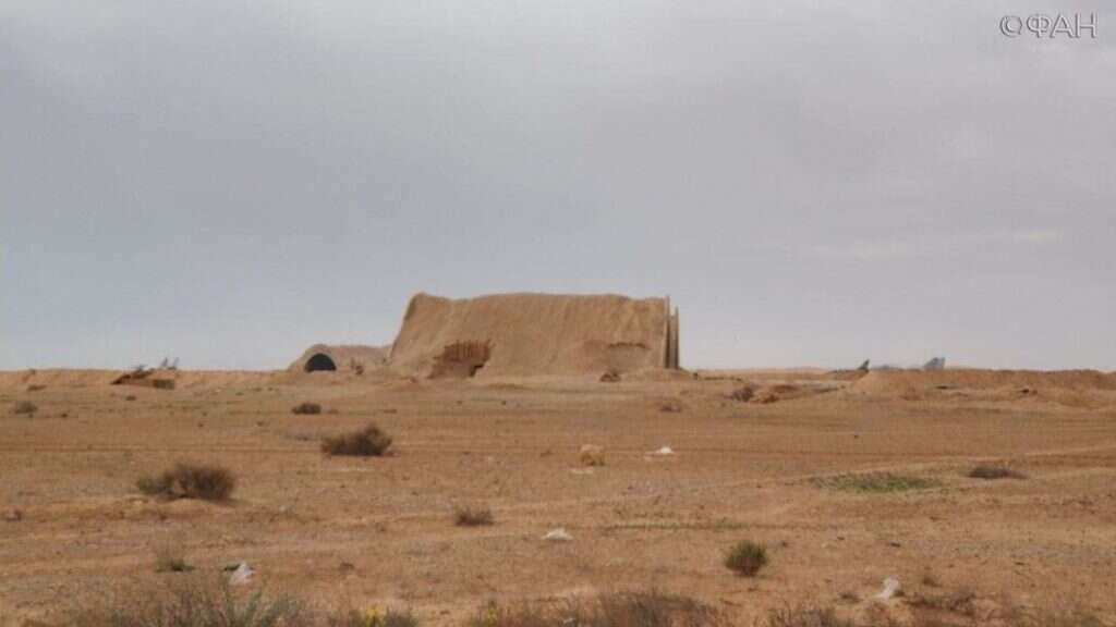 T4. צילומים : FAN