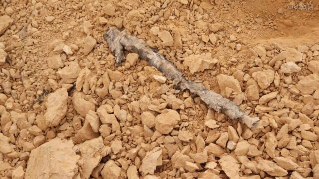 T4. צילומים : FAN