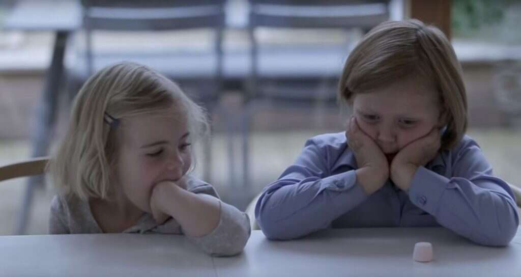 שחזור של ניסוי המרשמלו. | מסך